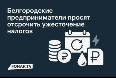 Белгородские предприниматели просят отсрочить ужесточение налогов