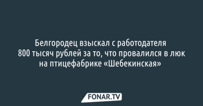 Белгородец взыскал с работодателя 800 тысяч рублей за то, что провалился в люк на птицефабрике «Шебекинская»​