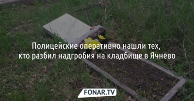 Полицейские оперативно нашли тех, кто разбил надгробия на кладбище в Ячнево