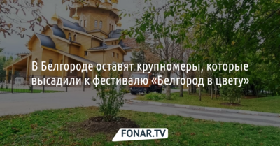В Белгороде оставят крупномеры, которые высадили к фестивалю «Белгород в цвету»