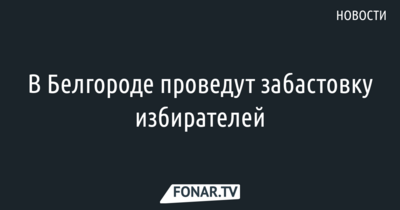 В Белгороде администрация согласовала «​забастовку избирателей»