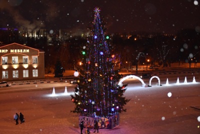 Интернет-пользователи выбрали лучшую новогоднюю ёлку Белгородской области
