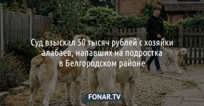 Хозяйка алабаев заплатит 50 тысяч рублей мальчику, которого они покусали в Белгородском районе