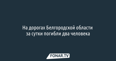 На дорогах Белгородской области за сутки погибли два человека