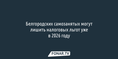 Белгородских самозанятых могут лишить налоговых льгот уже в 2026 году