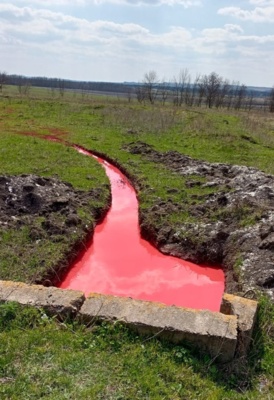 К «красному водоёму» в Красногвардейском районе привели пестициды