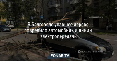 В Белгороде упавшее дерево повредило автомобиль и линии электропередачи