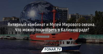 Янтарный комбинат и Музей Мирового океана. Что можно посмотреть в Калининграде?*