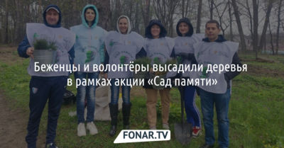 В Белгороде беженцы и волонтёры присоединились к акции «Сад памяти»