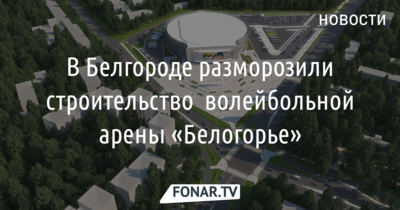 Белгородская область нашла деньги на строительство волейбольной арены «Белогорье»