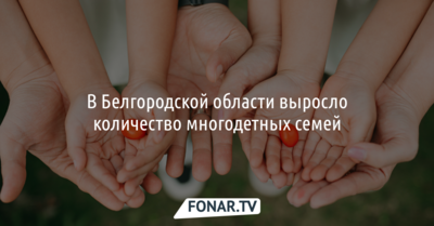 Многодетных семей в Белгородской области стало больше