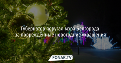 Губернатор поругал мэра Белгорода за повреждённые новогодние украшения