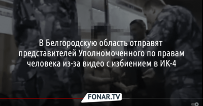 В Белгородскую область отправят представителей Уполномоченного по правам человека из-за видео с избиением в ИК-4