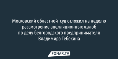 Московский областной  суд отложил на неделю рассмотрение апелляционных жалоб по делу белгородского предпринимателя Владимира Тебекина