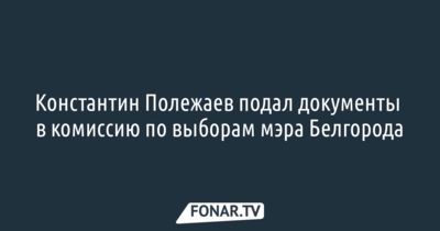 Константин Полежаев подал документы в конкурсную комиссию по выборам мэра Белгорода