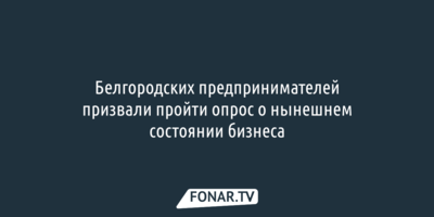 Белгородских предпринимателей призвали пройти опрос о нынешнем состоянии бизнеса