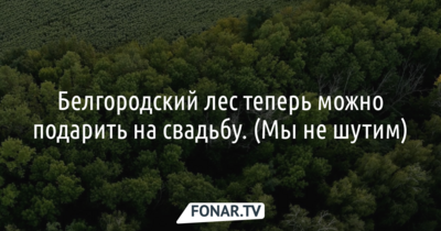 Белгородцы теперь могут подарить друзьям и родным лес