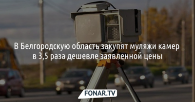 В Белгородскую область закупят муляжи камер в 3,5 раза дешевле заявленной цены