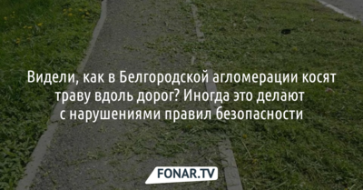 Видели, как в Белгородской агломерации косят траву вдоль дорог? Иногда это делают с нарушениями правил безопасности