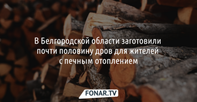 В Белгородской области заготовили почти половину дров для жителей с печным отоплением