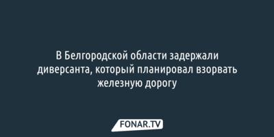 В Белгородской области задержали диверсанта, который планировал взорвать железную дорогу