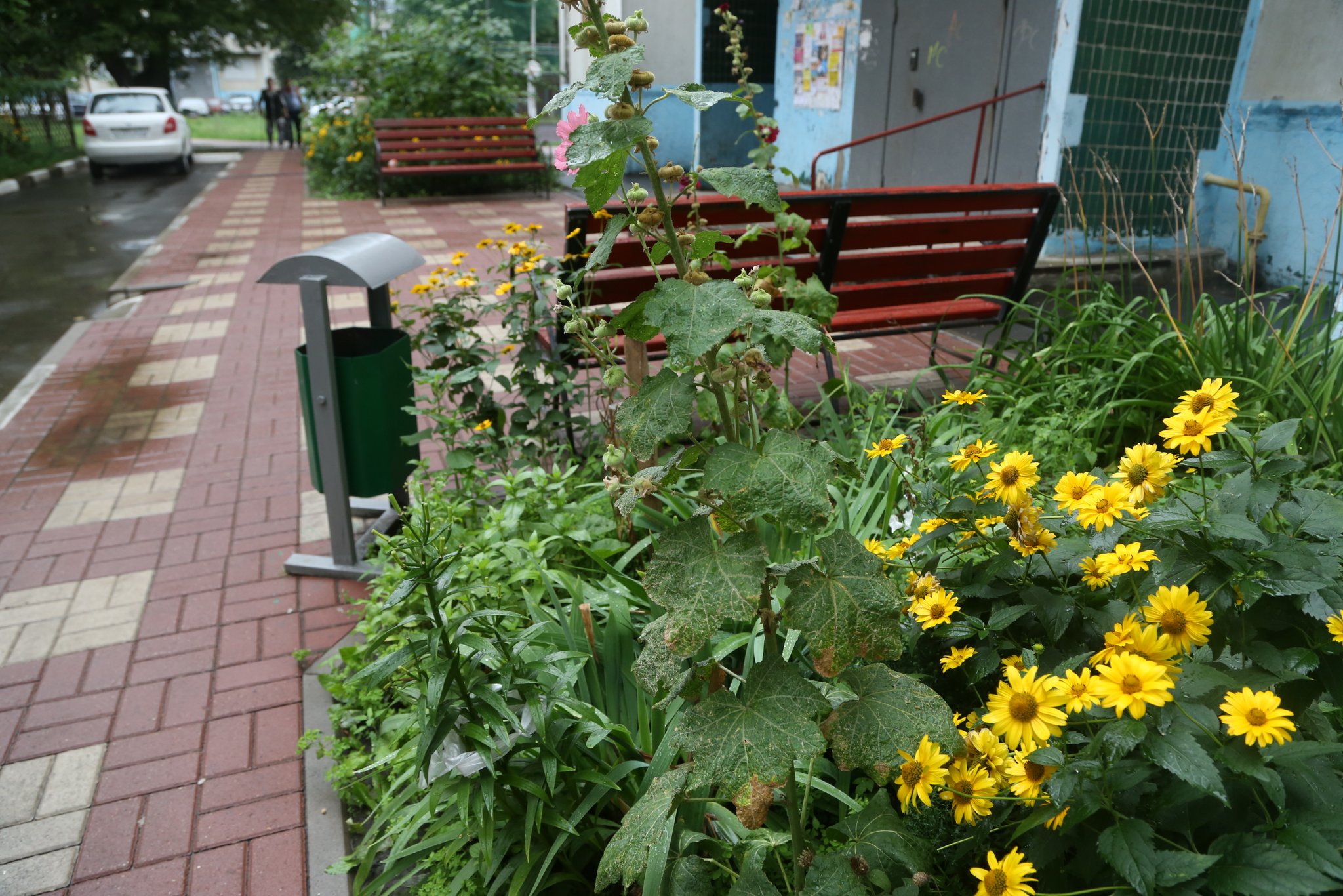 В Белгороде жителей частного сектора переведут на индивидуальный вывоз  мусора. Что это значит? — FONAR.TV