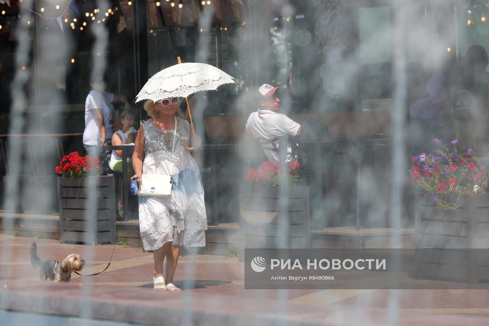 Женщина гуляет с собакой в жару в Белгороде. 03 августа 2023 года