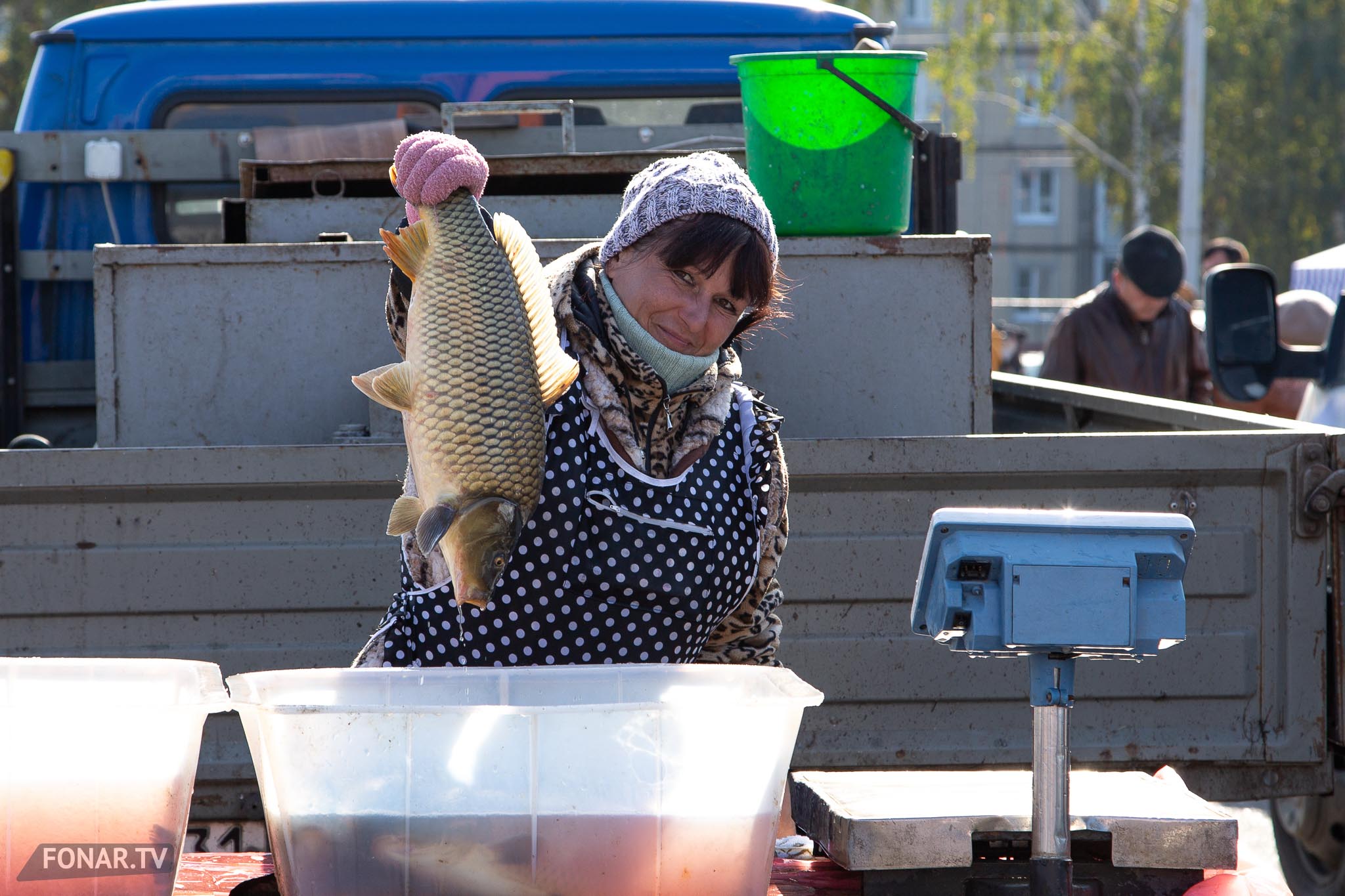 Ярмарка «Дары осени», Белгород, 17 октября 2015 года
