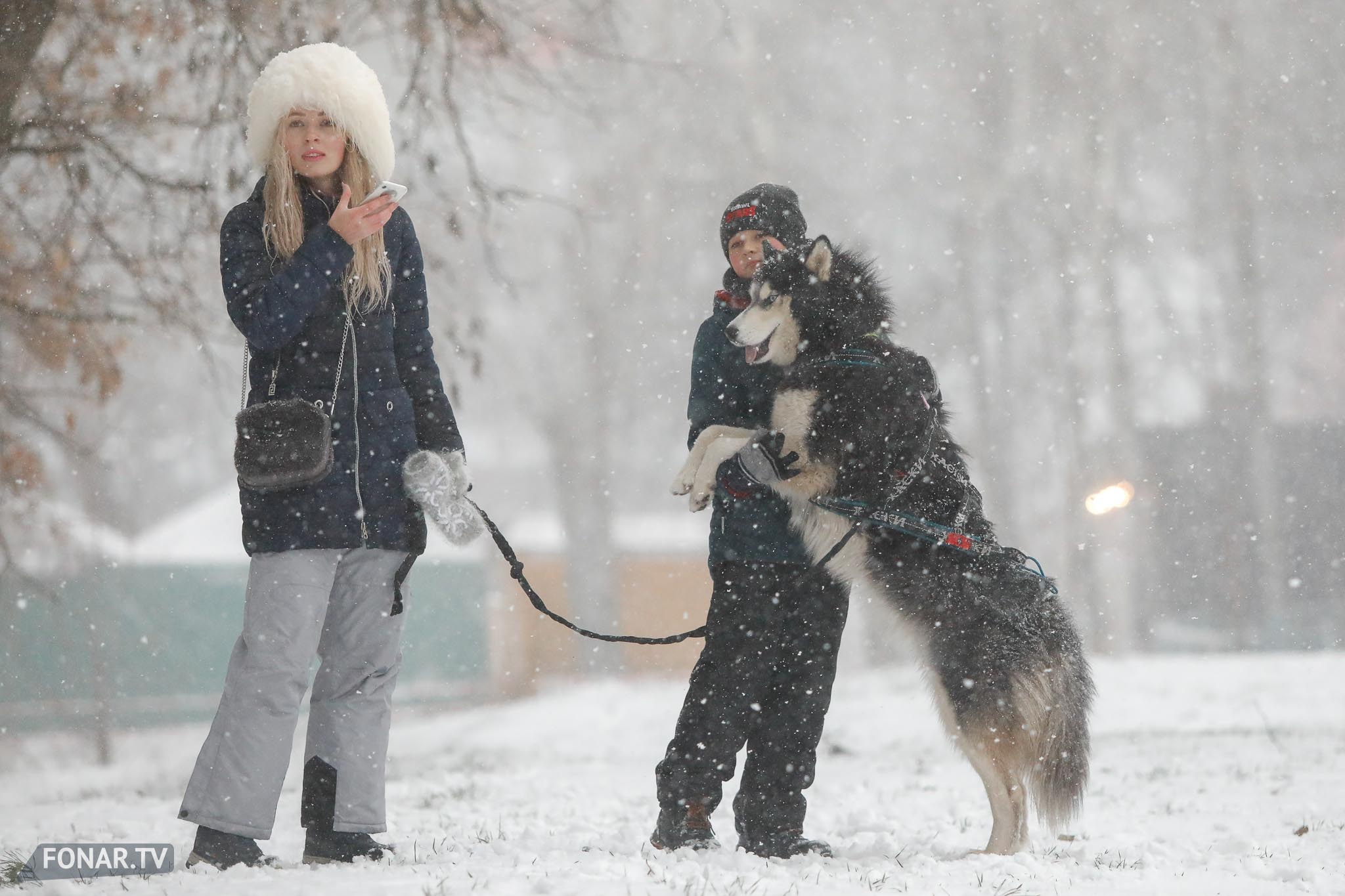 Забег «Хаски-TRAIL» в Центральном парке имени Ленина, Белгород, 19 декабря 2021 года